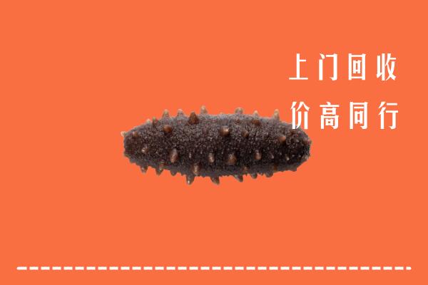 高价求购：绥宁县回收海参
